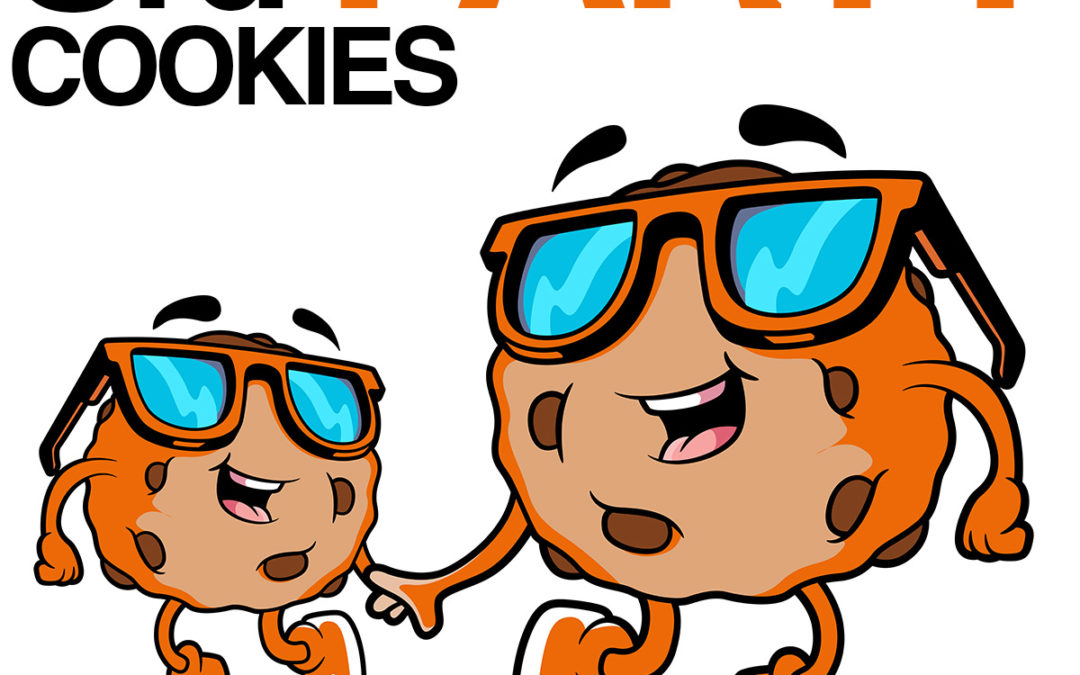 Third-Party-Cookies: Überall hört man davon, doch was passiert nun mit ihnen?